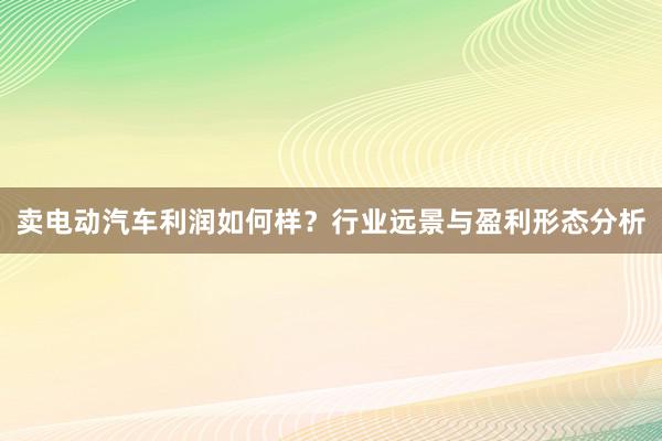 卖电动汽车利润如何样？行业远景与盈利形态分析